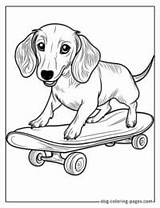 Weiner Dog Coloring Page –12 Free Printable Designs For Fun sketch template