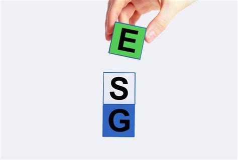 40+ Esg Criteria Stock Photos, Pictures & Royalty-Free Images - iStock