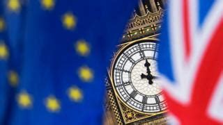 Tory MPs issue Brexit transition warning - BBC News