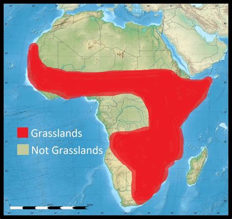 South Africa Grasslands Map