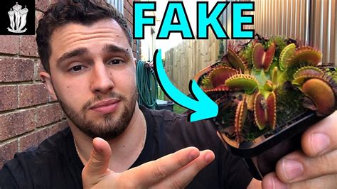 Why Your Flytrap Seeds are Fake - Venus Flytrap - YouTube