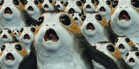 Porgs | Star Wars Porgs Wiki | FANDOM powered by Wikia