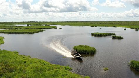 New Orleans Swamp Cruise Excursions - Swamp Tours New Orleans