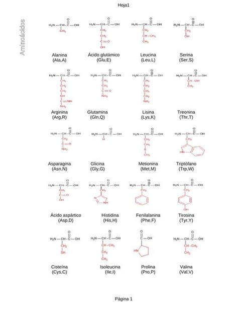 Aminoácidos Estructura quimica | Elias Galán Santos | uDocz