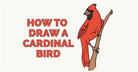 How to Draw a Cardinal Bird - Really Easy Drawing Tutorial