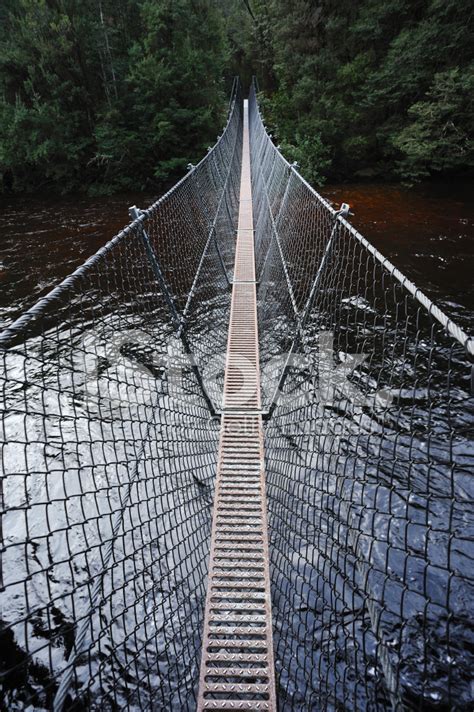 Suspension Bridge In The Forest, Stock Photo | Royalty-Free | FreeImages