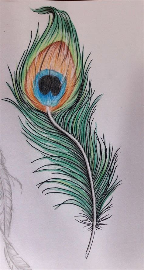 Peacock feather by flavia fricker | Peacock feather art, Feather drawing, Feather painting