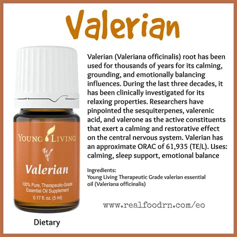 Valerian Essential Oil - Real Food RN