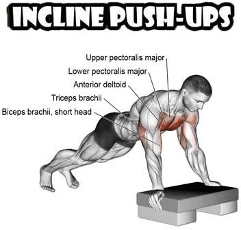 incline tricep push up > OFF-56%