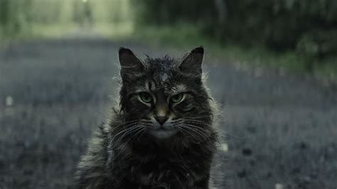 Pet Sematary :: Movies :: Stephen King :: Paste