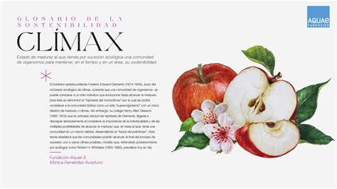 Clímax - Fundación Aquae