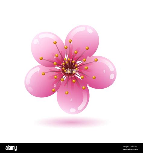 Cherry blossom celebration japan Stock Vector Images - Alamy