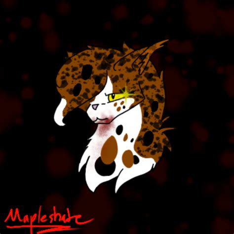 Mapleshade! | Warrior Cats