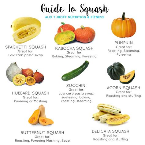 Acorn Squash Nutrition Info Hotsell | www.changeyourwindows.com