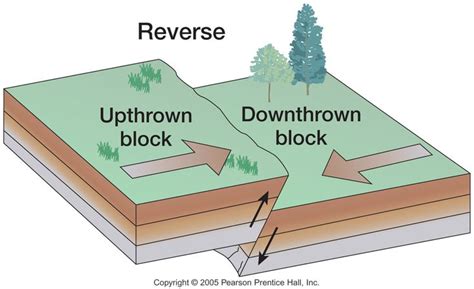 Reverse Fault