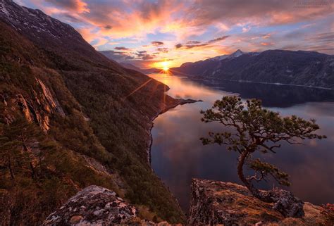 Download Tree Sunset Mountain Nature Fjord Wallpaper