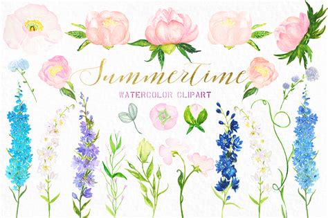 Delphinium watercolor clipart. Summertime flowers (36538 ...