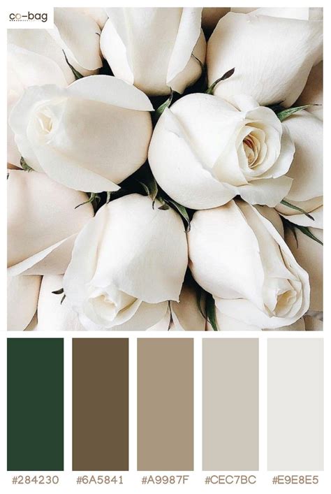 White, broken white, rose Ivory Color Palette, Colour Pallete, Paint Palette, Color Palettes ...