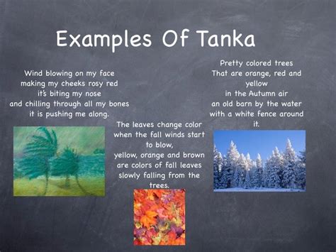 Tanka poems