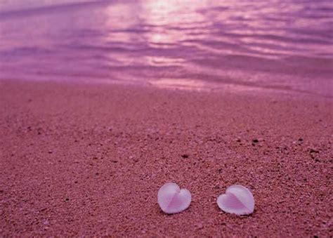 Currently Drooling Over These Five Pink Beaches – Finding Ferdinand