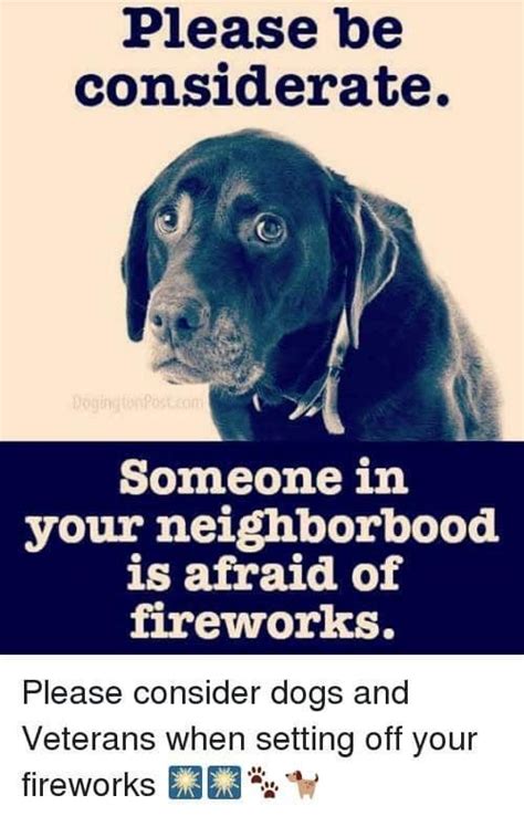 View 14 Dog Fireworks Meme - enrollclesz