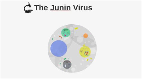 The Junin Virus by Melissa Santana on Prezi