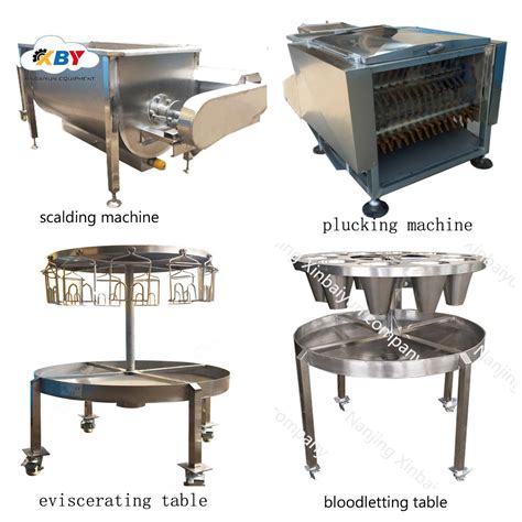 100-300/H Small Scale Chicken Slaughter Equipment Slaughterhouse ...