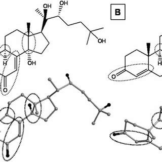 (PDF) Phytoecdysteroids and Anabolic-Androgenic Steroids - Structure ...