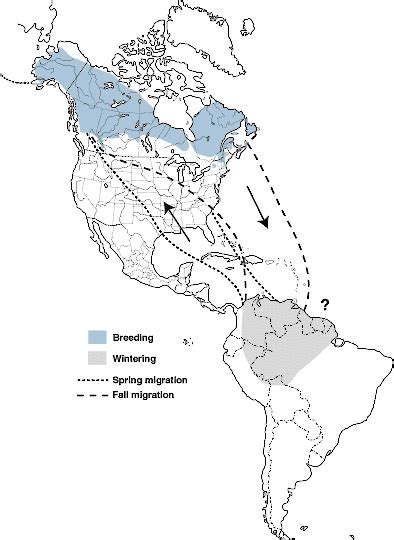 Blackpoll Warbler Migration Map