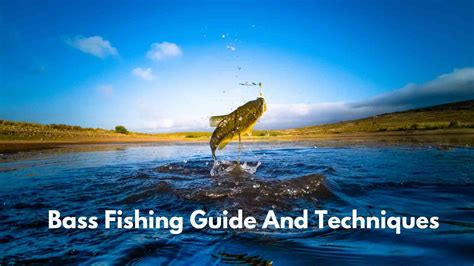 Bass Fishing Guide And Techniques