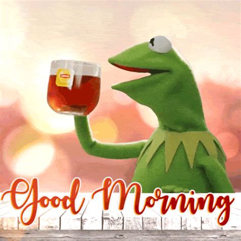 Good morning - Kermit The Frog Drinking Tea Meme GIF - Download on Davno