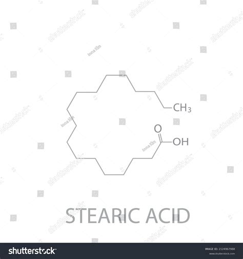 Stearic Acid Molecular Skeletal Chemical Formula Stock Vector (Royalty ...