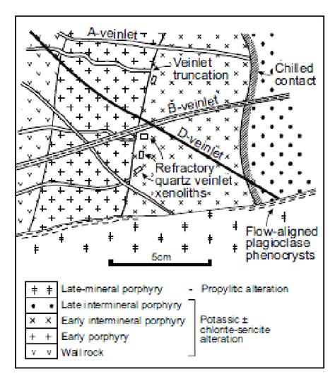 Vein types observed in a porphyry copper-gold deposit from Sillitoe... | Download Scientific Diagram