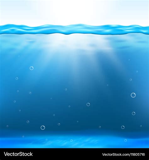 Underwater view Royalty Free Vector Image - VectorStock