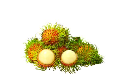 Gambar Buah Rambutan Png, Vektor, PSD, dan Clipart Dengan Background ...