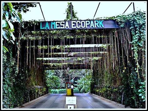 RADIANT TRAVELS: La Mesa Eco Park : An Ideal Picnic Grove for the Family