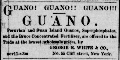 What a load of guano: 5 facts you didn't know about bird poop | National Museum of American History