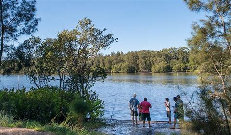 Karuah National Park | NSW National Parks