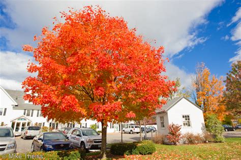 Fall Colors Fall Season Stock Photos - Maine and New England Photography Stock