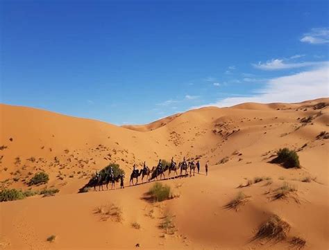 sahara desert tours from marrakech to fes - Sahara Desert Kingdom