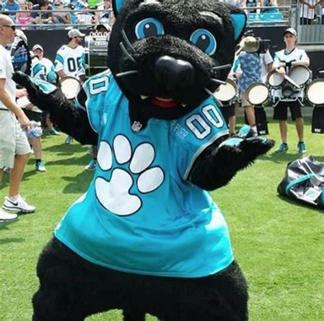 The Carolina Panthers Mascot Is Absolutely Purrfect