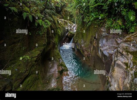 The beautiful Costa Rica Rainforest, waterfalls and blue river in the ...