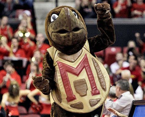 Maryland heading to Big Ten, Rutgers on deck, more movement possible ...