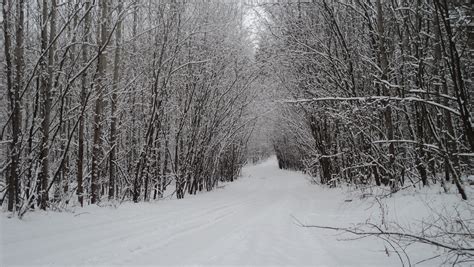 Russian winter. by annzet on DeviantArt