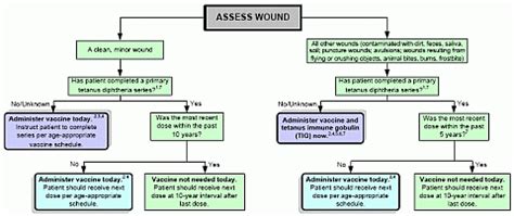 Summary Guide to Tetanus Prophylaxis in Routine Wound Management - MN Dept. of Health