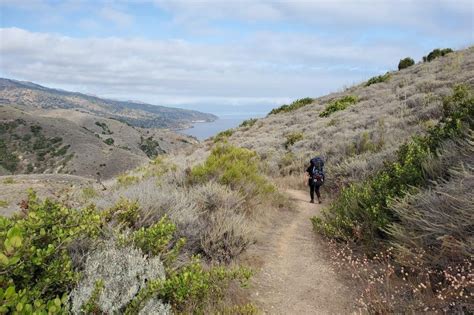 Hike to Del Norte Backcountry Campground via the Del Norte Trail • CALWILD