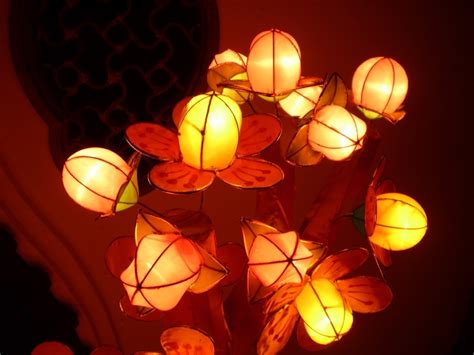 Free Images : light, color, monkey, toy, event, silk, chinese lantern festival, illuminated ...