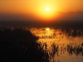 Just another swamp sunrise | One of a million small swamps t… | Flickr