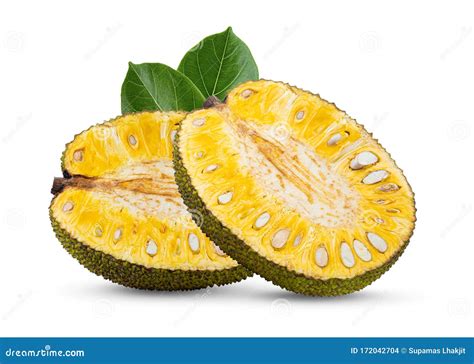 Jackfruit with Leaf Isolated on White Stock Photo - Image of isolated ...