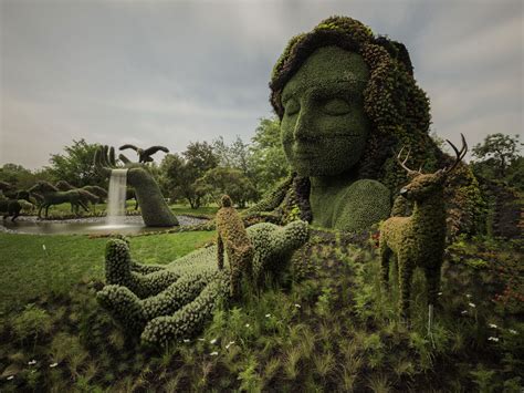 Montréal : des chefs-d'œuvre végétaux d'une rare beauté | Montreal botanical garden, Secret life ...